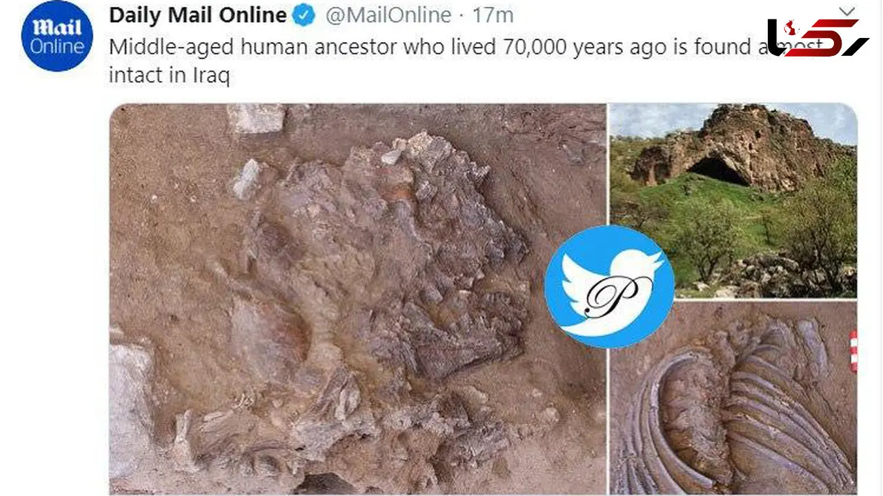 کشف اسکلت انسان متعلق در عراق