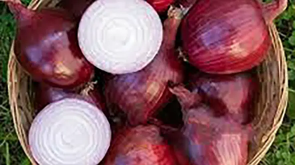 درمان 17 بیماری با پیاز خام