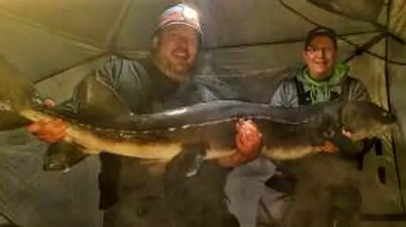 صید ماهی خاویار 100 ساله + عکس