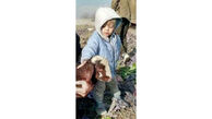 جنازه کودک ربوده شده در چاه فاضلاب پیدا شد/ در ساوجبلاغ فاش شد + عکس