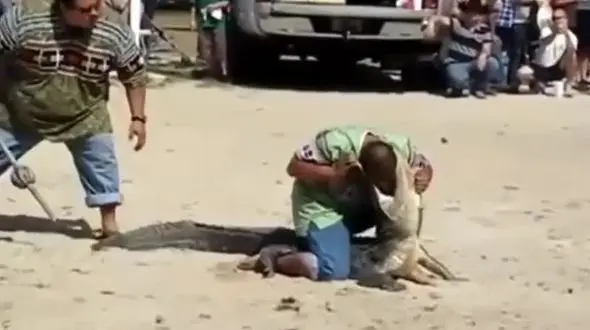 ببینید / غافلگیری خونبار یک تمساح برای یک مرد در حین نمایش خیابانی مقابل چشم مردم! + فیلم وحشتناک