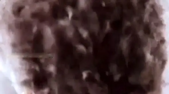 گران ترین پشم جهان چطور تولید می شود؟ / فیلم