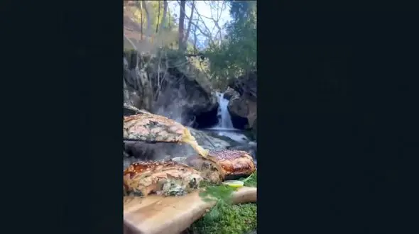 رولت ماهی یک غذای متفاوت با ماهی + فیلم