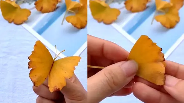 با ساخت این پروانه ها پاییز را به منزل بیاورید + فیلم