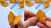 با ساخت این پروانه ها پاییز را به منزل بیاورید + فیلم