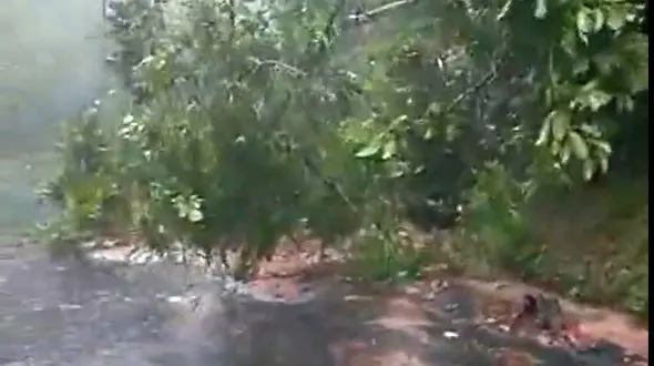 ببینید / رانش وحشت آفرین زمین در سالوادور