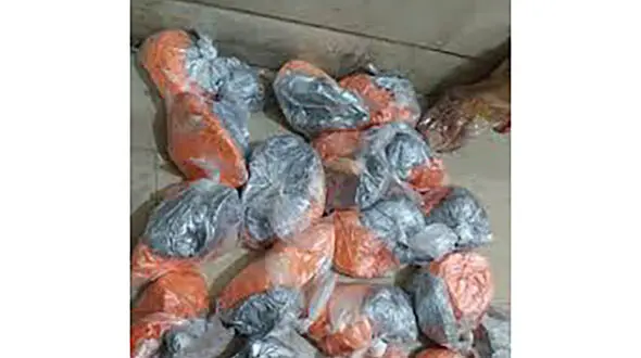 کشف اکلیل و سرنج و مواد محترقه در مرودشت / 2 آتش افروز دستگیر شدند