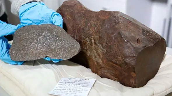 جوینده خوش‌شانس طلا سنگی ازشمندتر از طلا پیدا کرد+عکس