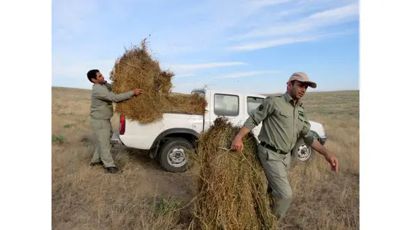 درخواست کمک از خیرین برای احداث آبشخور و تامین علوفه حیات وحش 