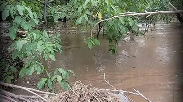 کشته‌ شدگان سیل‌ کشور به ۶۱ نفر رسید 