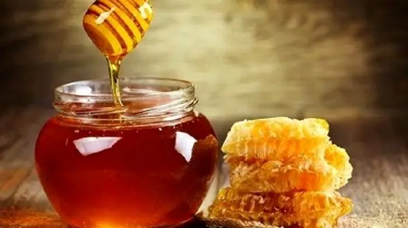 تقویت حافظه با این ماده غذایی جادویی