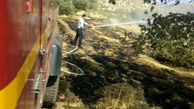 آتش سوزی در جنگل های بلوط خرم آباد + عکس 