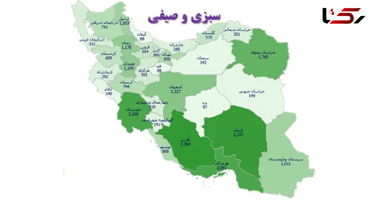 این استان های کشور برای تولید سبزی و صیفی انتخاب شدند + اینفوگرافیک