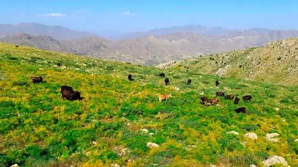 روستای پالنگان از جاذبه‌های گردشگری استان کردستان + عکس