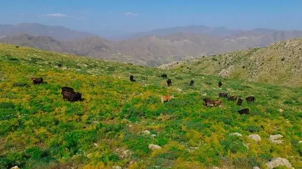 روستای پالنگان از جاذبه‌های گردشگری استان کردستان + عکس