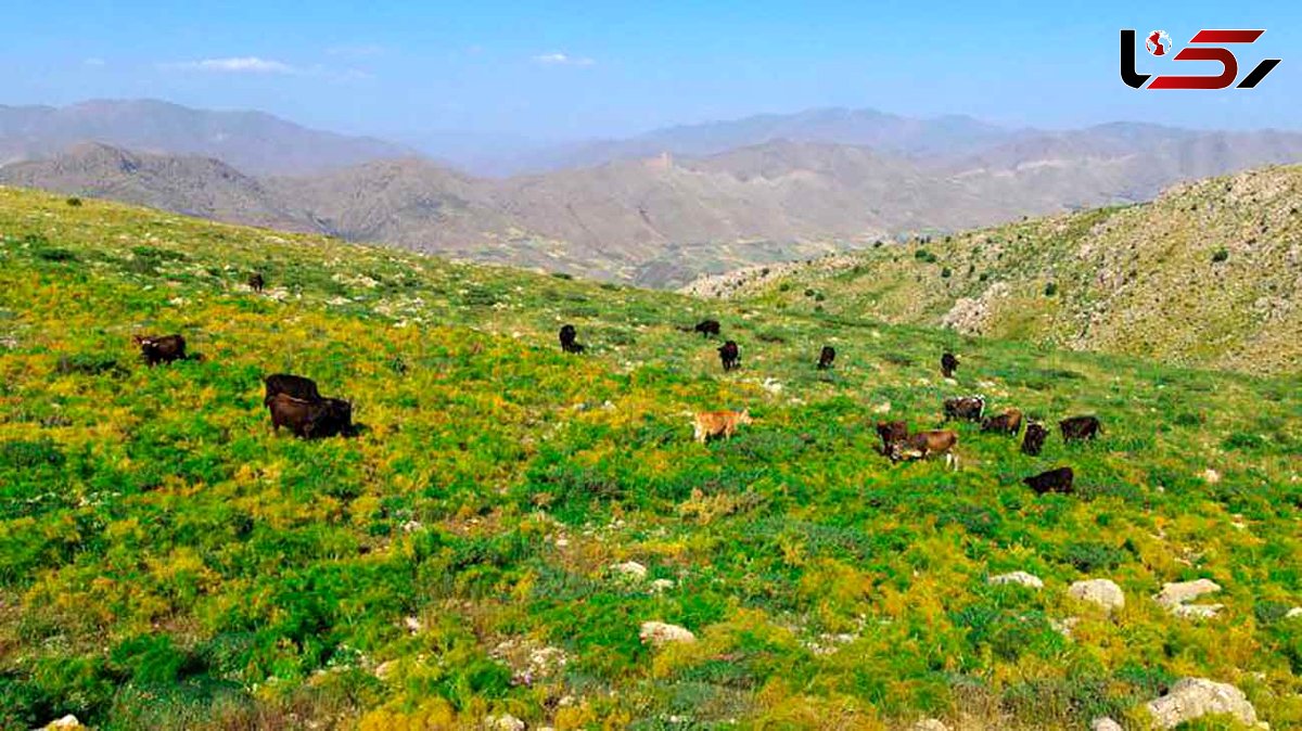 روستای پالنگان از جاذبه‌های گردشگری استان کردستان + عکس