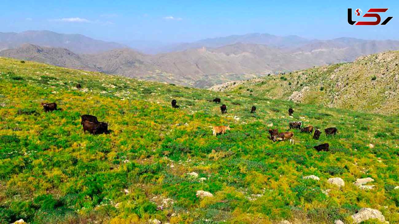 روستای پالنگان از جاذبه‌های گردشگری استان کردستان + عکس