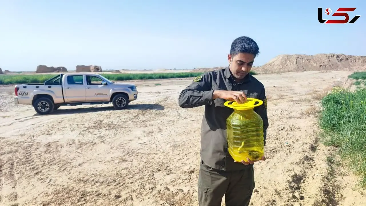 رهاسازی یک شتر مار در طبیعت پیشوا