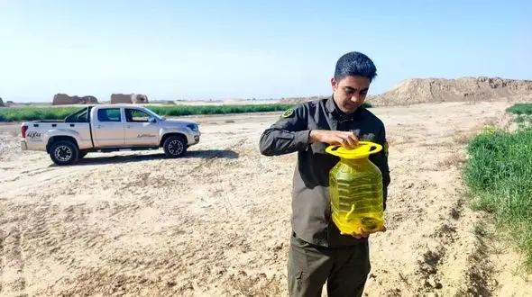 رهاسازی یک شتر مار در طبیعت پیشوا