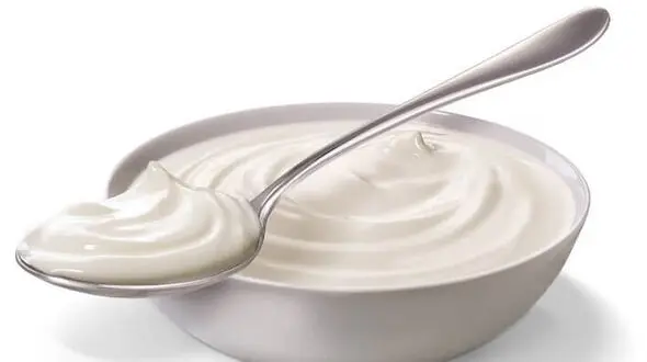این ماده غذایی سرشار از کلسیم چاق کننده است