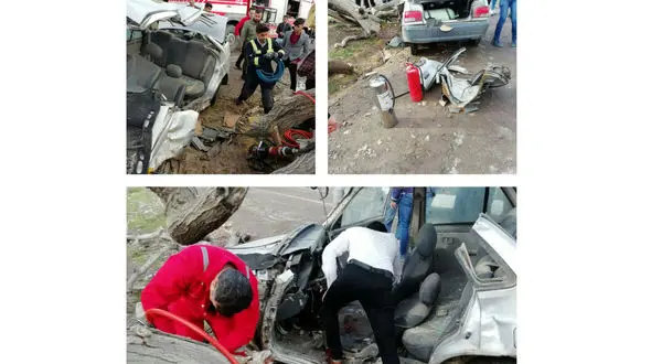 تصاویر تصادف عجیب پراید با درخت کهنسال 