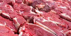 گوشت برزیلی آلوده است؟ پشت پرده محدودیت اروپا چه بود؟