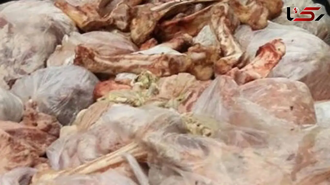 کشف گوشت فاسد در بستنی فروشی!