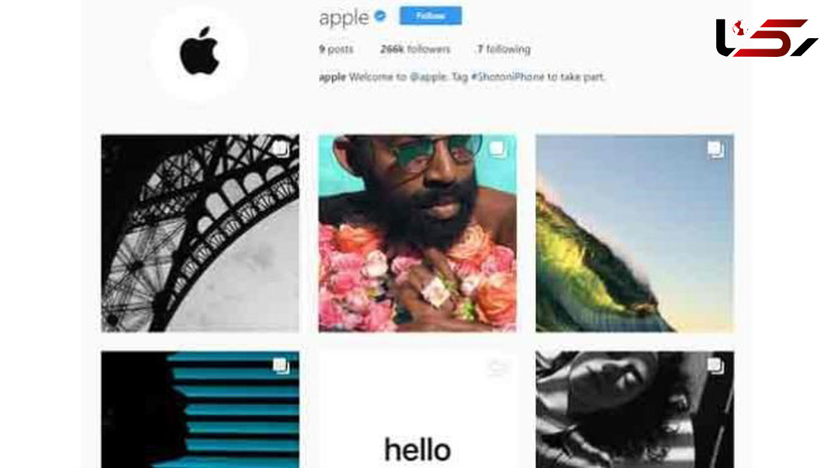 حساب کاربری رسمی اپل در اینستاگرام آغاز به کار کرد