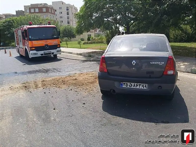 برخورد خودرو با درخت