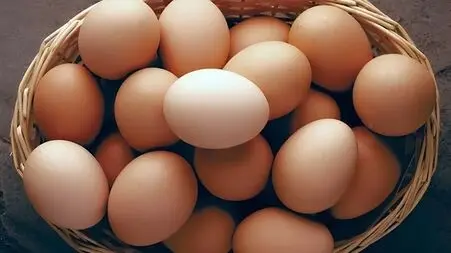 اهمیت و اهداف روز جهانی تخم مرغ برای سلامت جهانی