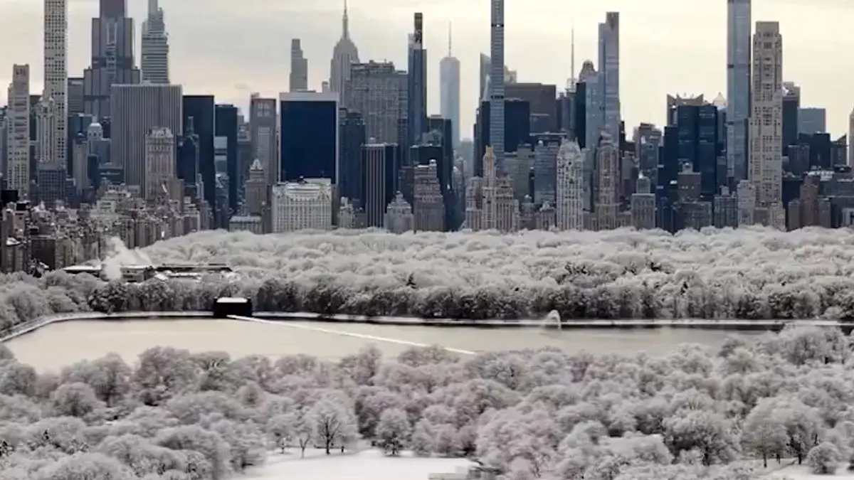 فیلم منظره زمستانی پارک مرکزی نیویورک