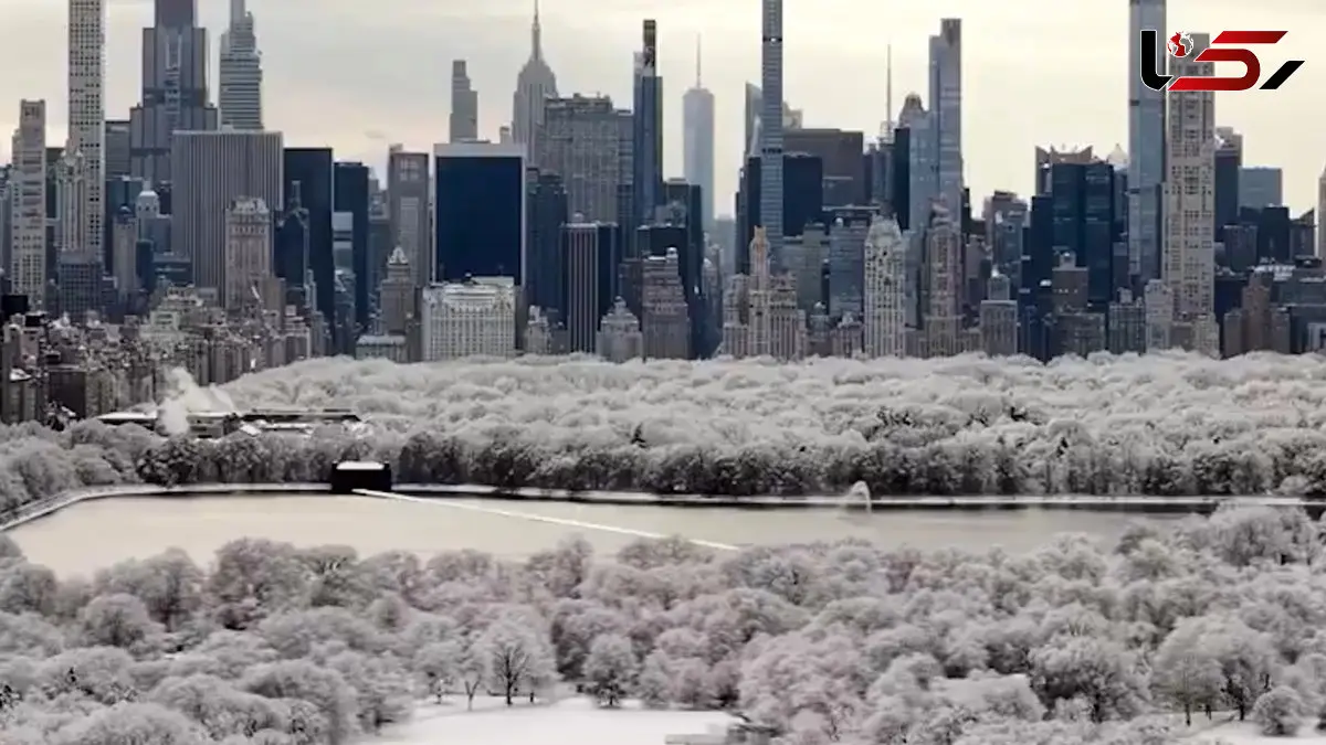 فیلم منظره زمستانی پارک مرکزی نیویورک