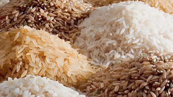 ثبت سفارش واردات برنج محدود شد