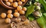 جاروبرقی سیستم داخلی بدن را بشناسید