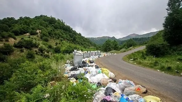 قتل‌عام سبز در هیرکانی؛ مردم رها می‌کنند، مسئولان نگاه می‌کنند و هیچ! + فیلم