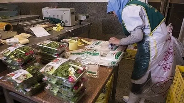 حمایت از زنان سرپرست خانوار در طرح کسب و کار پایدار خانواده محور