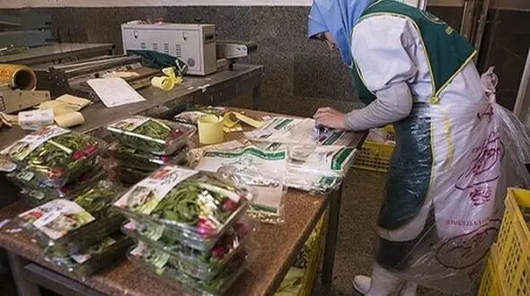 حمایت از زنان سرپرست خانوار در طرح کسب و کار پایدار خانواده محور