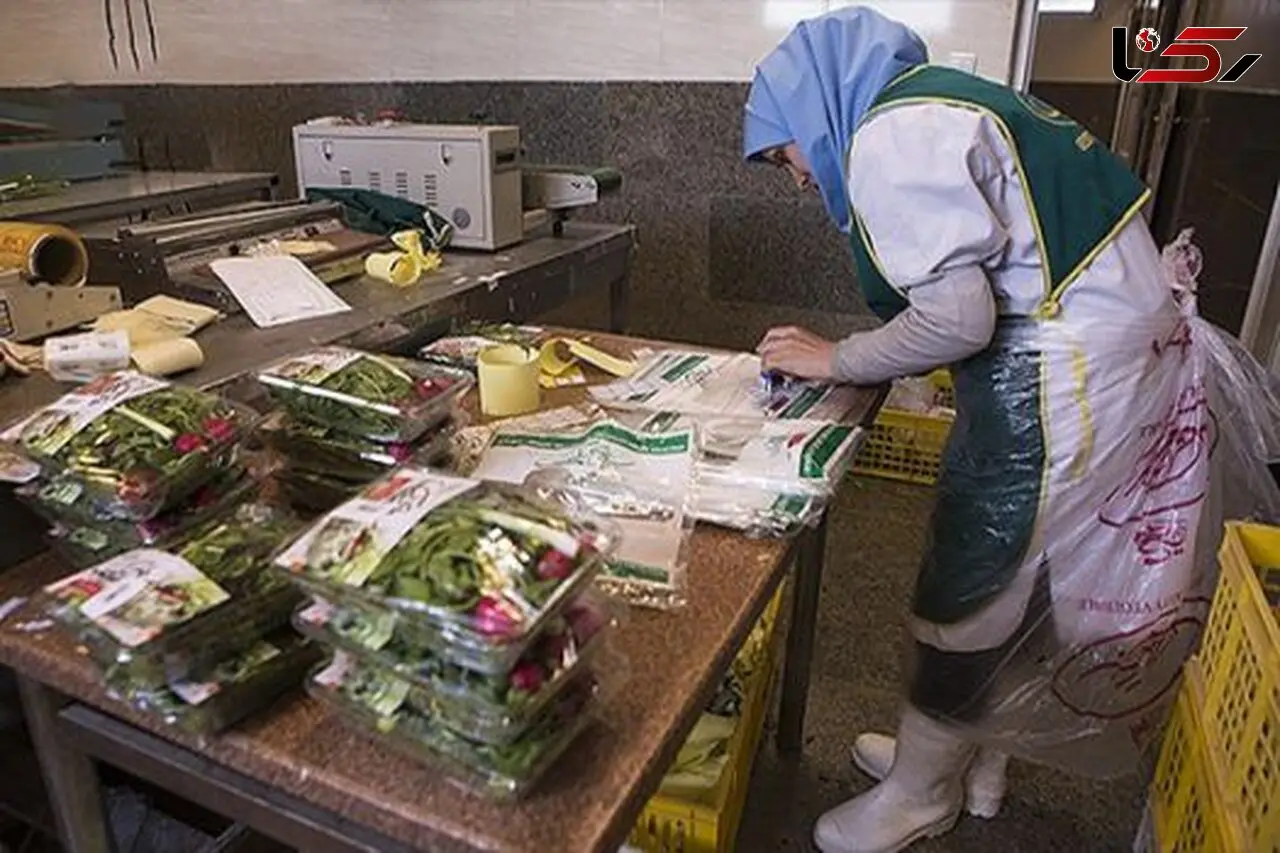 بارسنگین دغدغه های مسکن و معیشت بر دوش زنان سرپرست خانوار تحت حمایت کمیته امداد