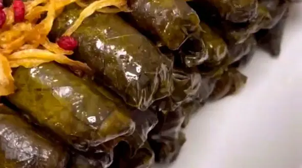 از دلمه برگ مو تا کوکی شکلاتی کافی شاپی