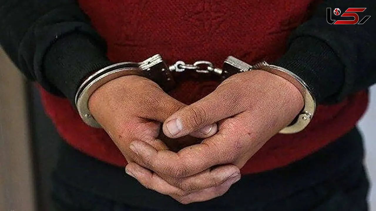 بازداشت دزد جوان در پنجمین روز سرقتش / در شرق تهران فاش شد