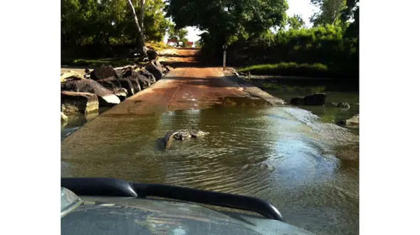 مرد 47 ساله غذای یک تمساح شد +تصاویر