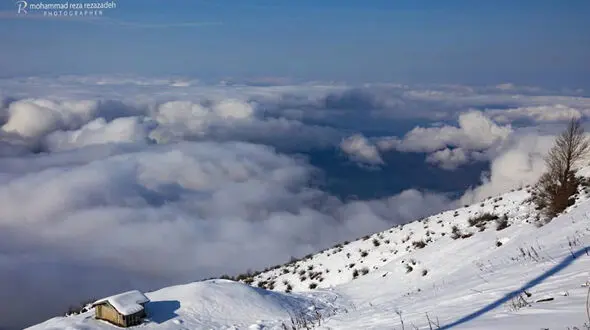 قلب کویر ایران هم سفید پوش شد + فیلم
