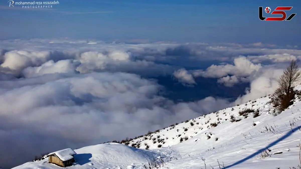قلب کویر ایران هم سفید پوش شد + فیلم