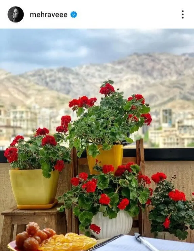 پست مهراوه شریفی نیا