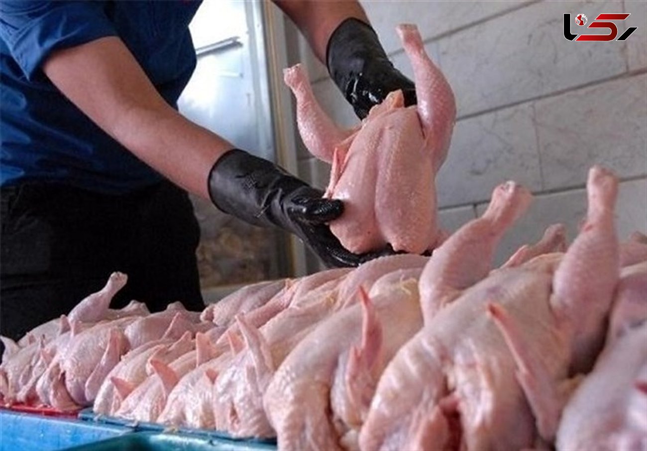 کاهش قیمت مرغ به مرز کیلویی 8 هزار تومان