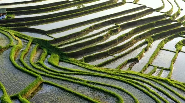 ببینید / نماهنگ بی کلام و آرامش بخش با تصاویری از جزیره بالی + فیلم 