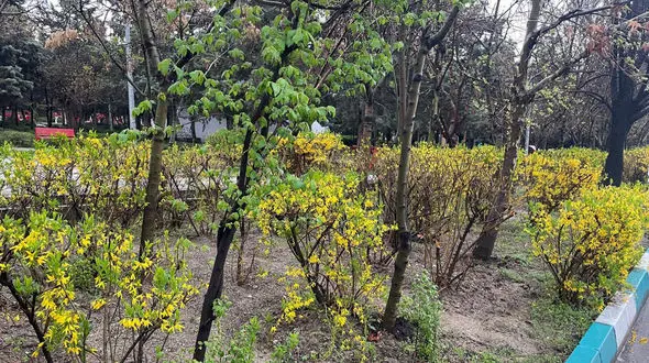 فال ابجد محشر 24 فروردین + فیلم