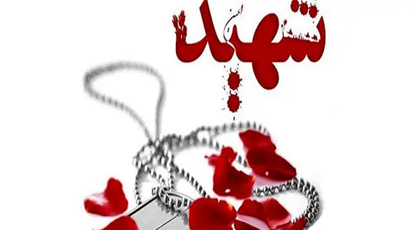 شهادت علیرضا گل محمدی فرمانده تفحص شهدا / امروز در مهران رخ داد 