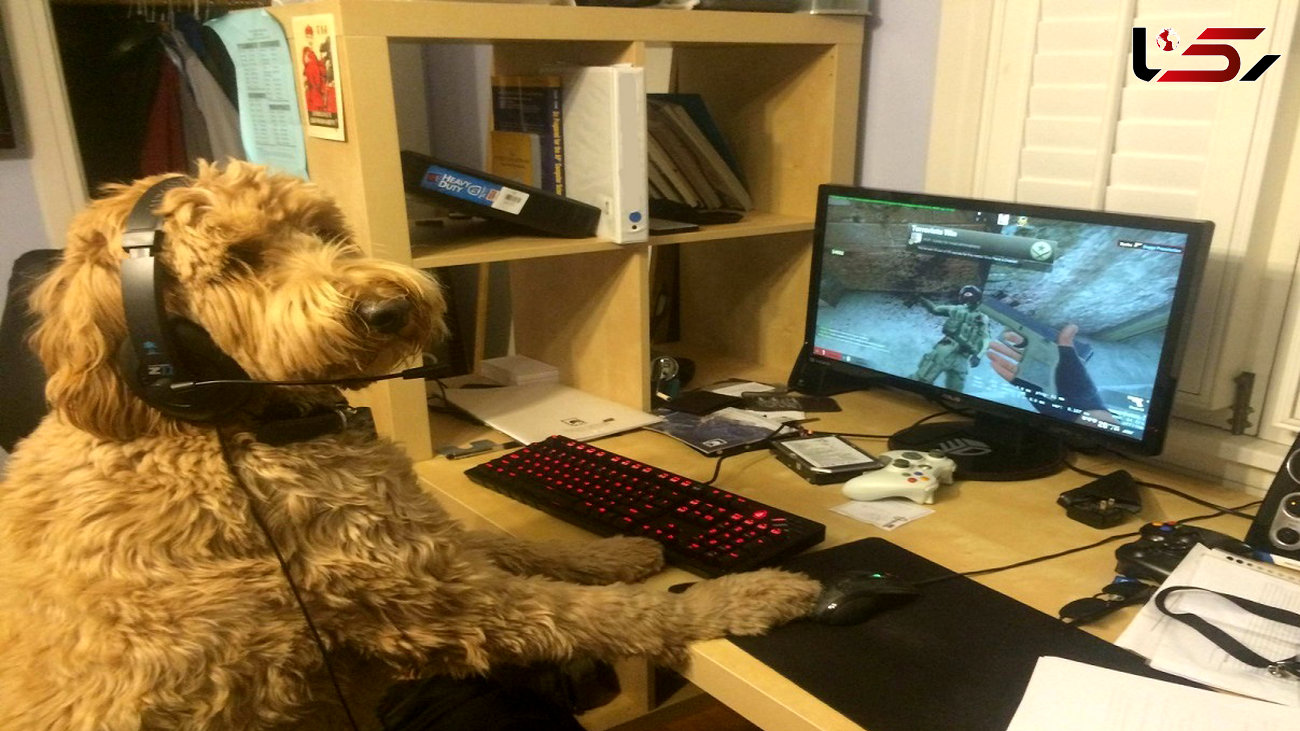 سگ نابغه در بازی های کامپیوتری + فیلم