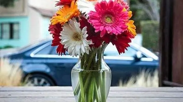 روش های ساده و کلیدی برای تازه نگه داشتن گل ها